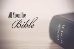 DVD: Transformed by Grace - Series: All About the Bible