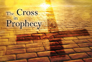 DVD: Transformed by Grace - Series: The Cross in Prophecy