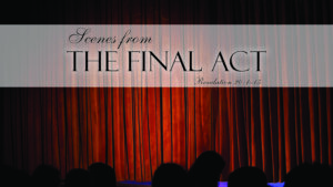 DVD: Transformed by Grace - Series: Scenes from the Final Act