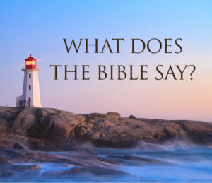 DVD: What Does the Bible Say? - Set of 12 DVDs