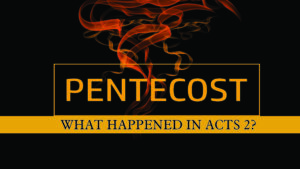 DVD: Transformed by Grace - Series: What Happened in Acts 2?