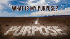 DVD: Transformed by Grace - Series: What Is My Purpose?
