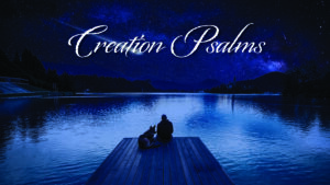 DVD: Transformed by Grace - Series: Creation Psalms