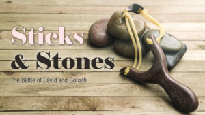 DVD: Transformed by Grace - Series: Sticks and Stones