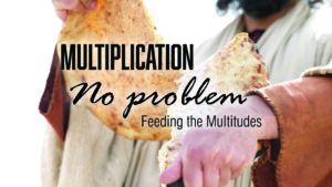 DVD: Transformed by Grace - Series: Multiplication-No Problem