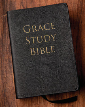 Bible: Grace Study Bible