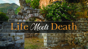 DVD: Transformed by Grace - Series: Life Meets Death
