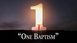 DVD: Transformed by Grace - Series: One Baptism